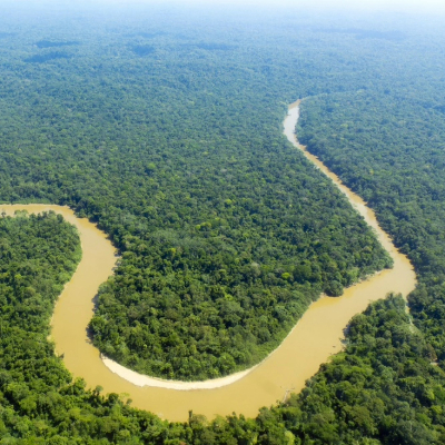 Amazon Rainforest