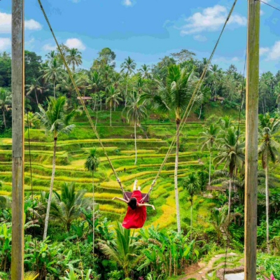 Bali Rice Terraces