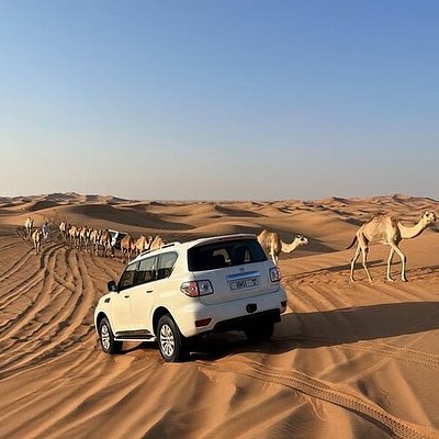 Dubai Desert Safari