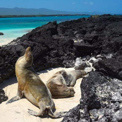 Galápagos Islands