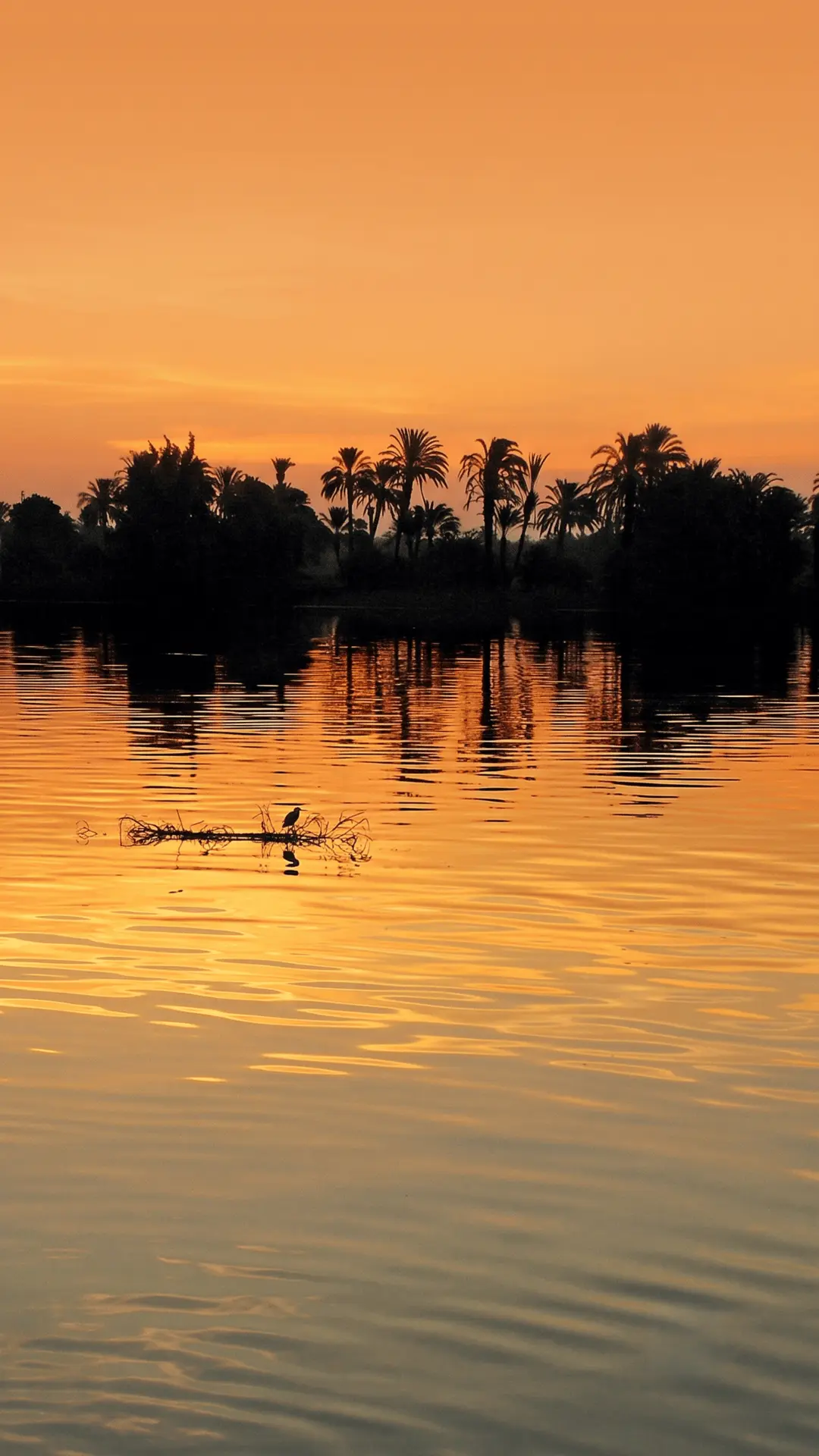 Dawn Nile View from Dahabiya | Magical Sunrise Cruise Egypt