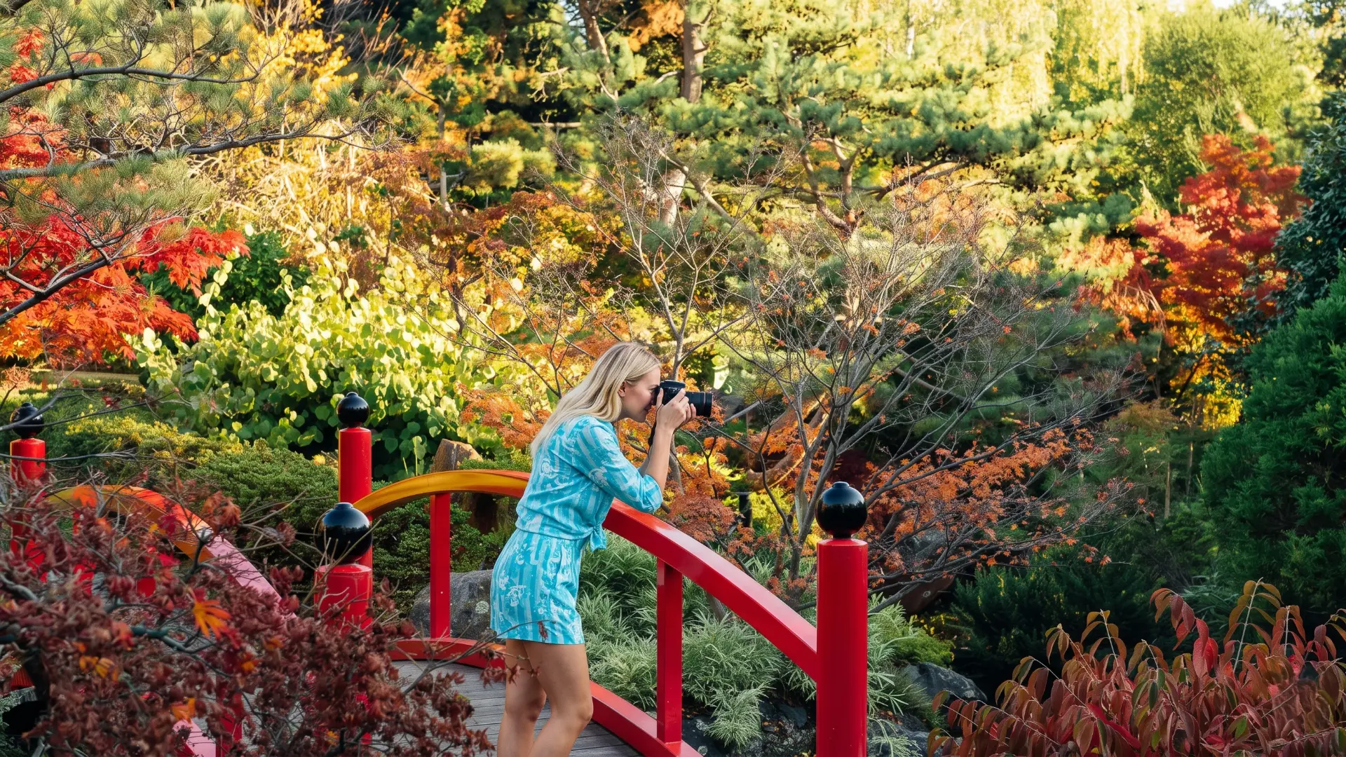Lush landscapes and flower displays at the Royal Tasmanian Botanical Gardens in Hobart