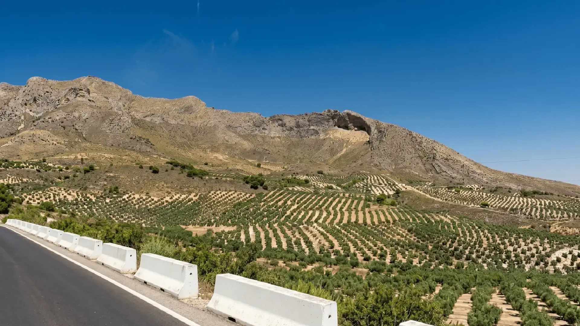 Scenic road between Jaén and Úbeda through endless olive groves, Jaén province – iconic Andalusian landscape